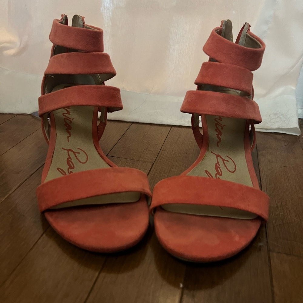 Coral Wedges